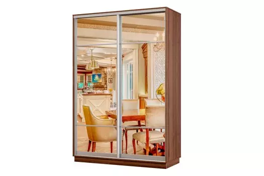 Шкаф-купе 2-дверный Практик МИНИ