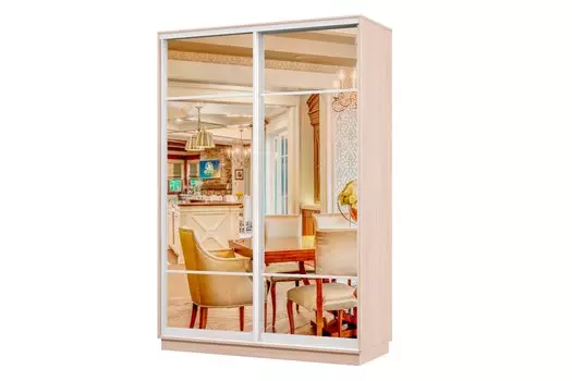 Шкаф-купе 2-дверный Практик МИНИ