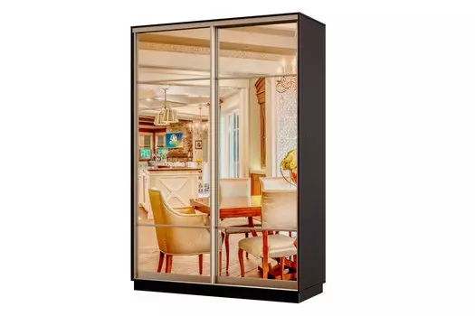 Шкаф-купе 2-дверный Практик МИНИ