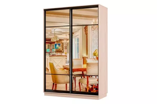 Шкаф-купе 2-дверный Практик МИНИ