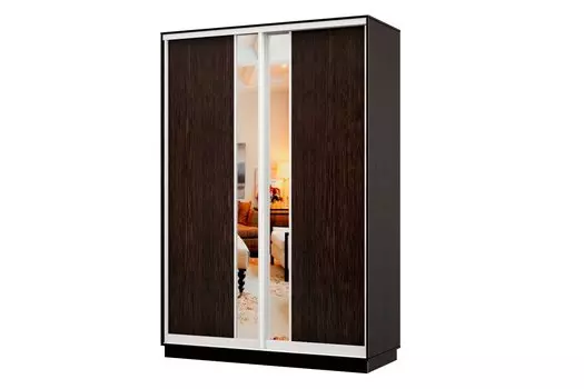 Шкаф-купе 2-дверный Практик МИНИ