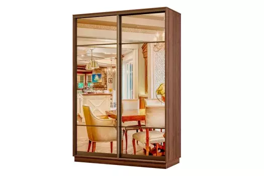 Шкаф-купе 2-дверный Практик МИНИ