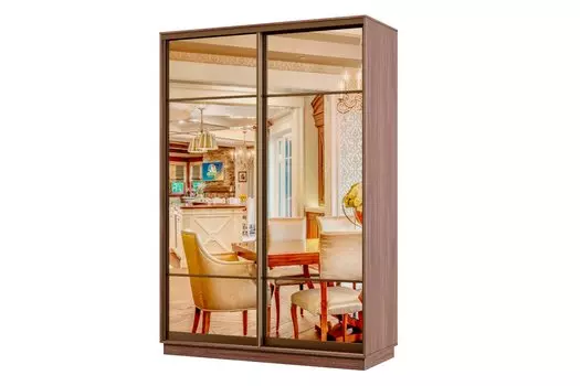 Шкаф-купе 2-дверный Практик МИНИ