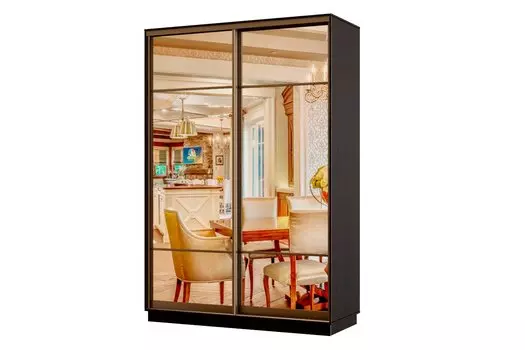 Шкаф-купе 2-дверный Практик МИНИ