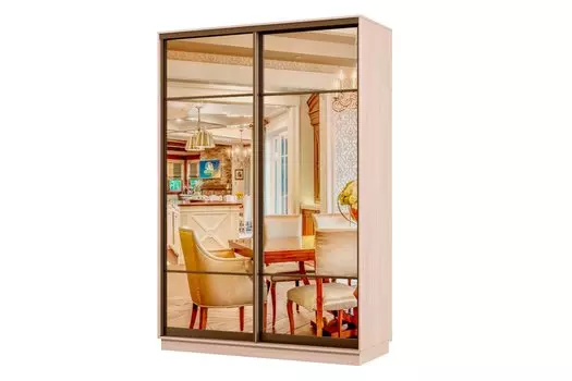 Шкаф-купе 2-дверный Практик МИНИ