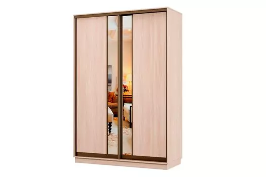 Шкаф-купе 2-дверный Практик МИНИ