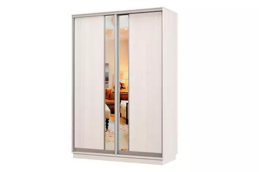 Шкаф-купе 2-дверный Практик МИНИ