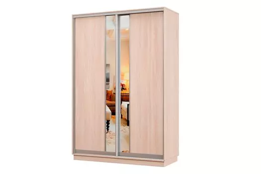 Шкаф-купе 2-дверный Практик МИНИ