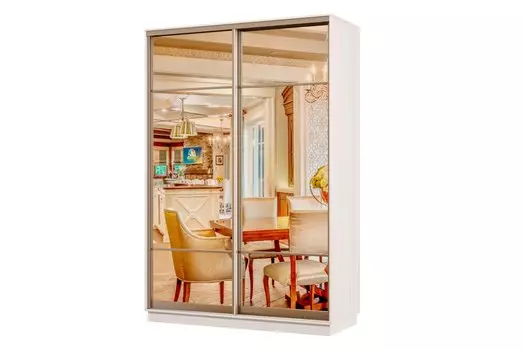 Шкаф-купе 2-дверный Практик МИНИ