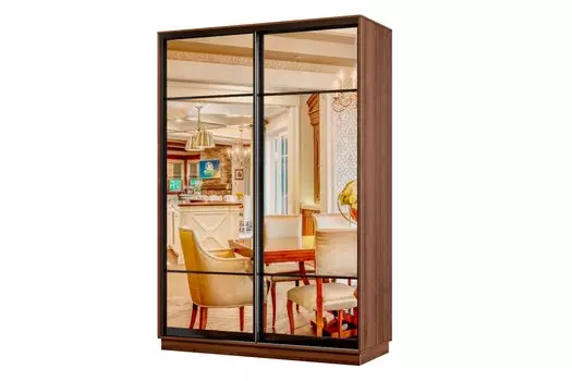 Шкаф-купе 2-дверный Практик МИНИ