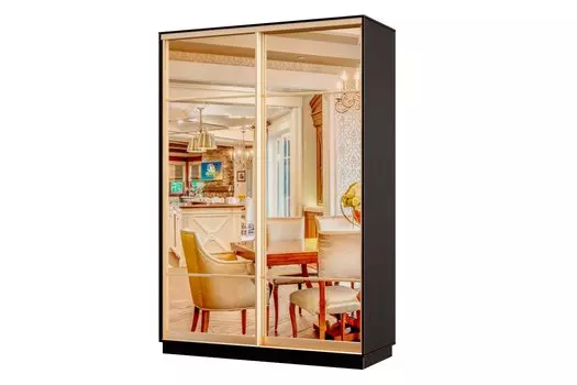 Шкаф-купе 2-дверный Практик МИНИ