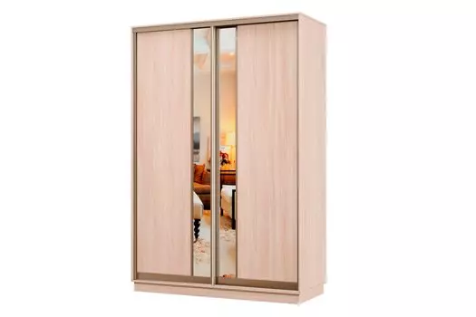 Шкаф-купе 2-дверный Практик МИНИ