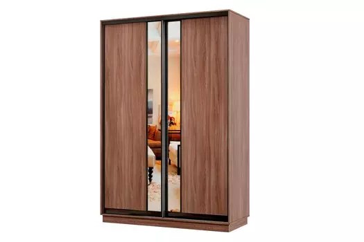 Шкаф-купе 2-дверный Практик МИНИ