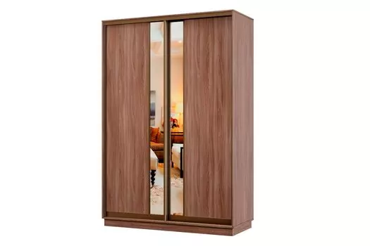 Шкаф-купе 2-дверный Практик МИНИ