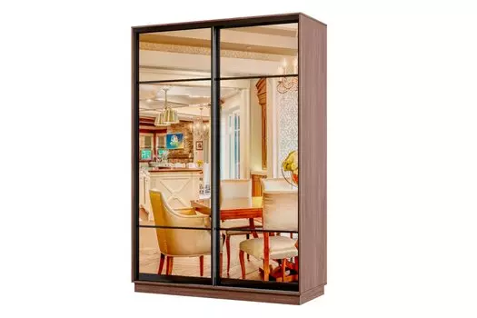 Шкаф-купе 2-дверный Практик МИНИ