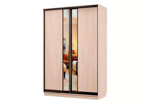 Шкаф-купе 2-дверный Практик МИНИ