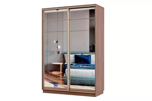 Шкаф-купе 2-дверный Практик МИНИ