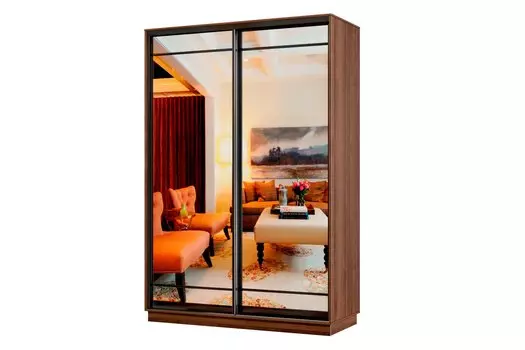 Шкаф-купе 2-дверный Практик МИНИ