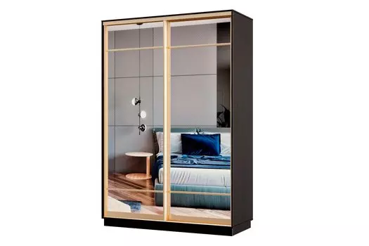 Шкаф-купе 2-дверный Практик МИНИ