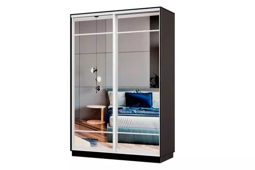 Шкаф-купе 2-дверный Практик МИНИ