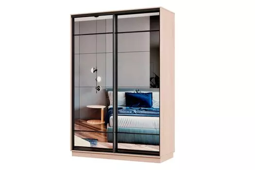 Шкаф-купе 2-дверный Практик МИНИ