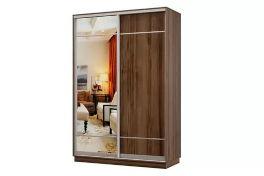 Шкаф-купе 2-дверный Практик МИНИ