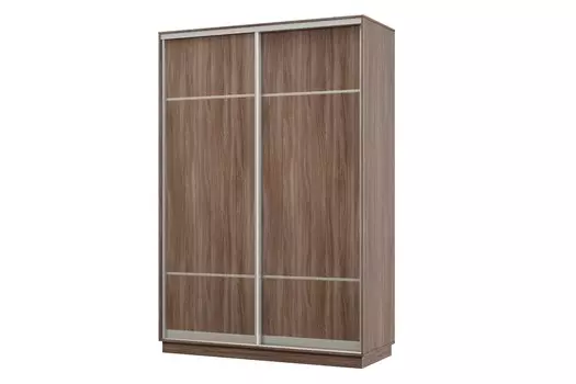 Шкаф-купе 2-дверный Практик МИНИ