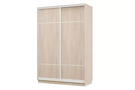 Шкаф-купе 2-дверный Практик МИНИ