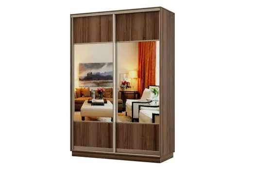 Шкаф-купе 2-дверный Практик МИНИ