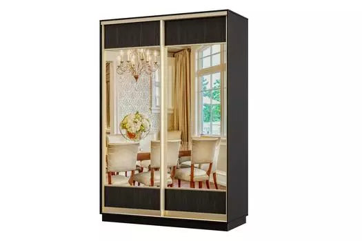 Шкаф-купе 2-дверный Практик МИНИ