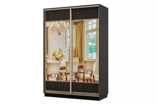 Шкаф-купе 2-дверный Практик МИНИ