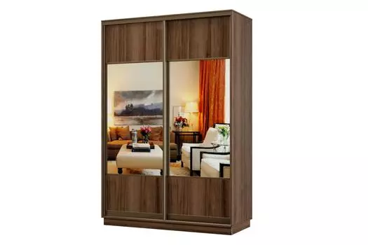 Шкаф-купе 2-дверный Практик МИНИ