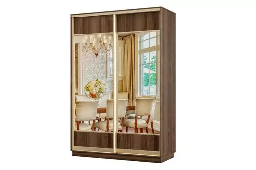 Шкаф-купе 2-дверный Практик МИНИ