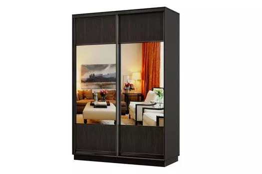 Шкаф-купе 2-дверный Практик МИНИ