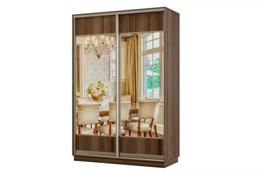 Шкаф-купе 2-дверный Практик МИНИ