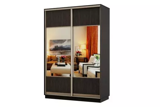 Шкаф-купе 2-дверный Практик МИНИ