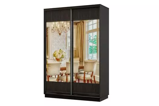 Шкаф-купе 2-дверный Практик МИНИ