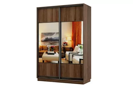 Шкаф-купе 2-дверный Практик МИНИ