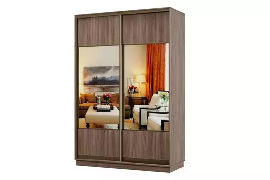 Шкаф-купе 2-дверный Практик МИНИ