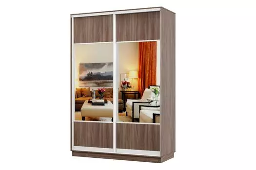 Шкаф-купе 2-дверный Практик МИНИ