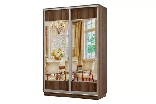 Шкаф-купе 2-дверный Практик МИНИ