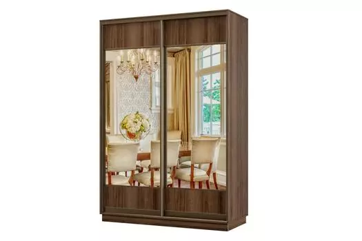 Шкаф-купе 2-дверный Практик МИНИ