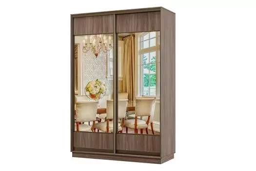 Шкаф-купе 2-дверный Практик МИНИ