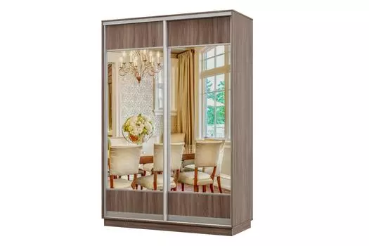 Шкаф-купе 2-дверный Практик МИНИ