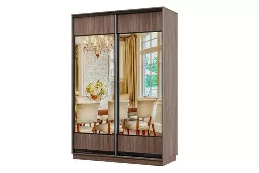 Шкаф-купе 2-дверный Практик МИНИ