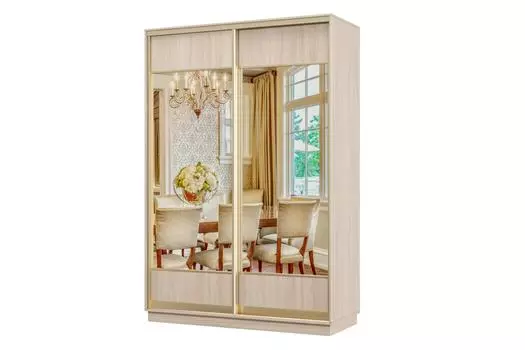 Шкаф-купе 2-дверный Практик МИНИ