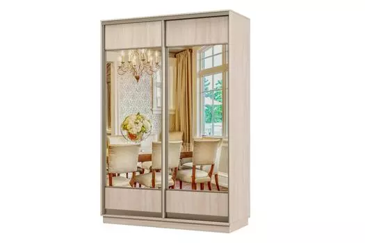 Шкаф-купе 2-дверный Практик МИНИ