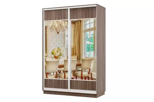 Шкаф-купе 2-дверный Практик МИНИ