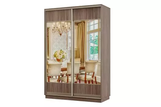 Шкаф-купе 2-дверный Практик МИНИ