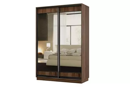 Шкаф-купе 2-дверный Практик МИНИ